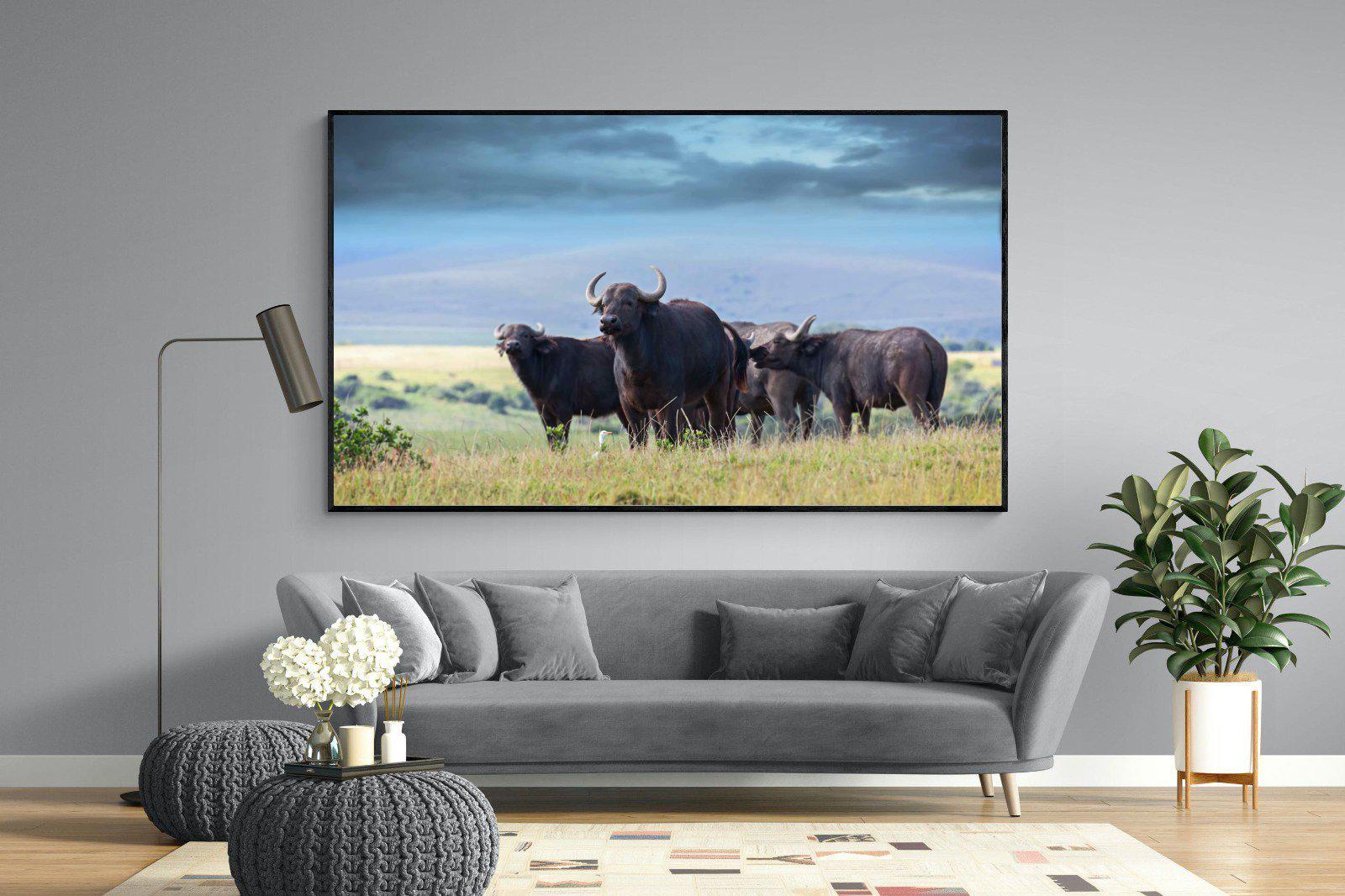 Buffalo-Wall_Art-220 x 130cm-Mounted Canvas-Black-Pixalot