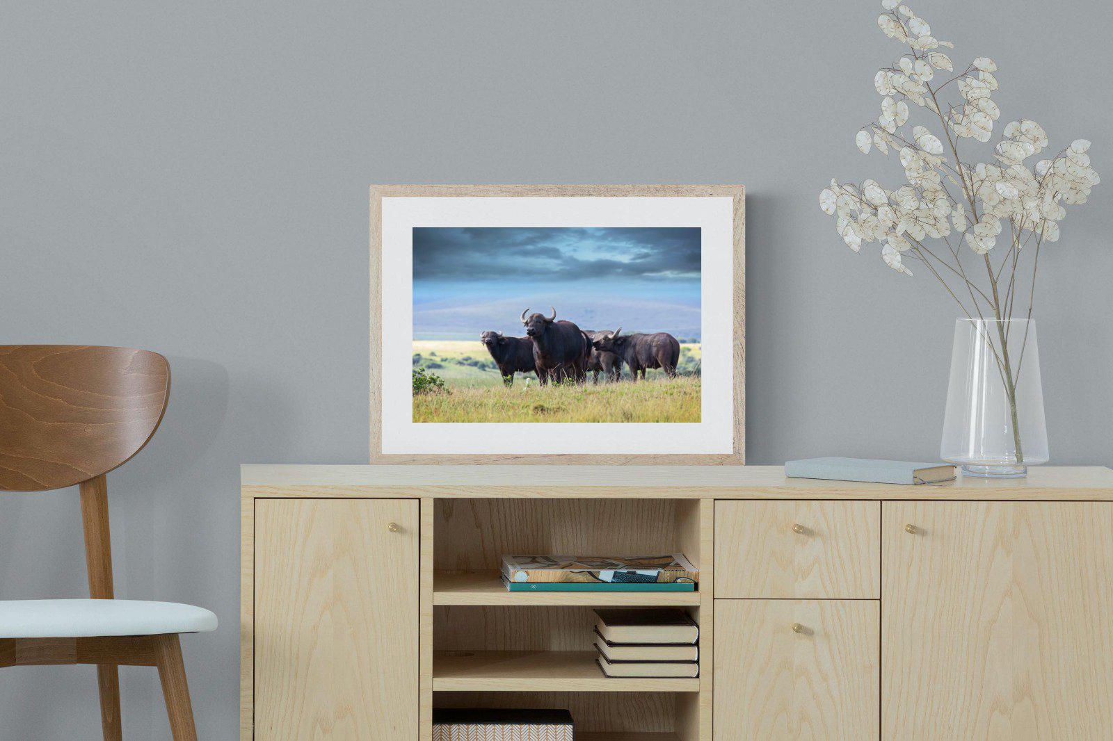 Buffalo-Wall_Art-60 x 45cm-Framed Print-Wood-Pixalot