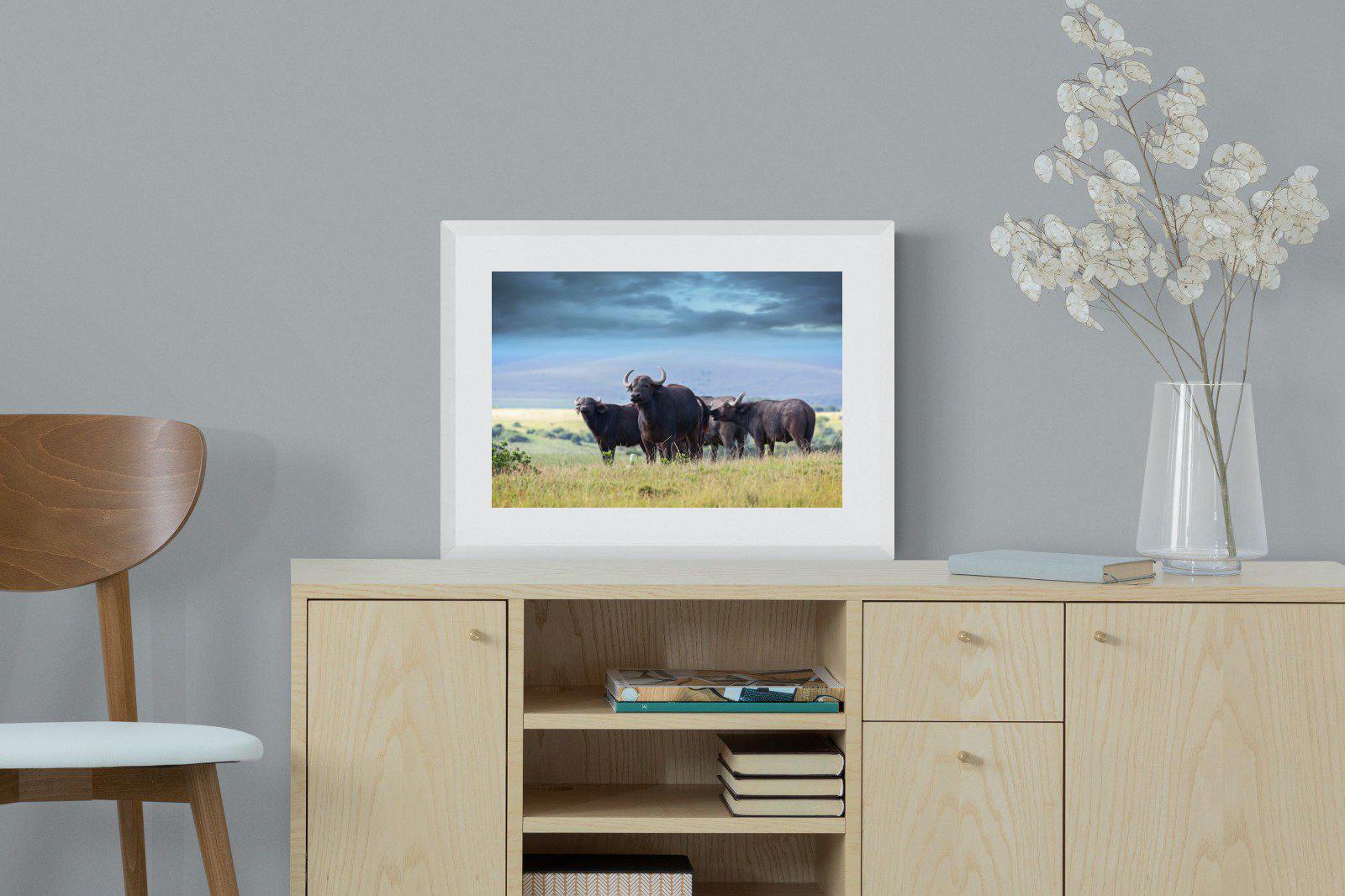 Buffalo-Wall_Art-60 x 45cm-Framed Print-White-Pixalot