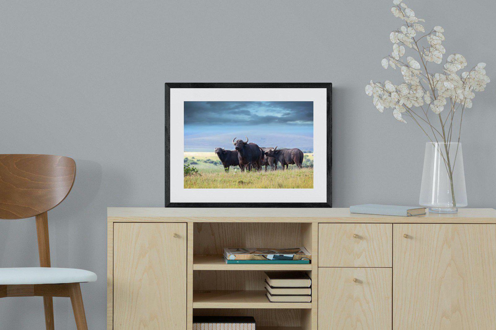 Buffalo-Wall_Art-60 x 45cm-Framed Print-Black-Pixalot