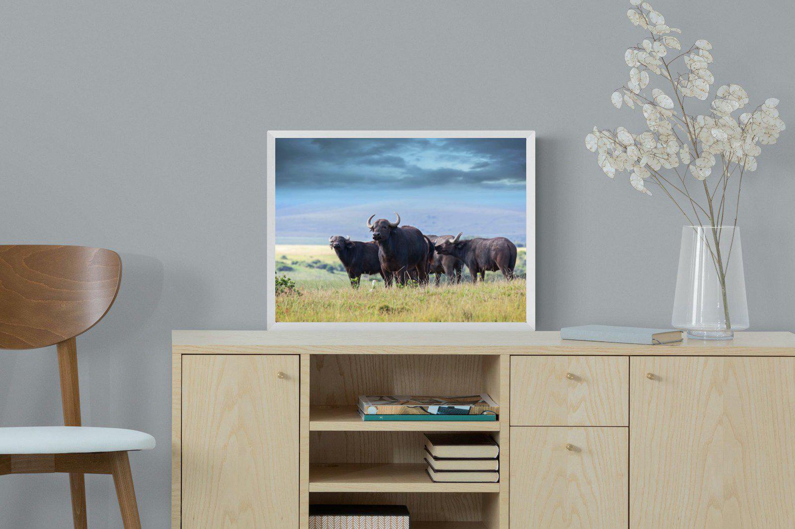 Buffalo-Wall_Art-60 x 45cm-Mounted Canvas-White-Pixalot