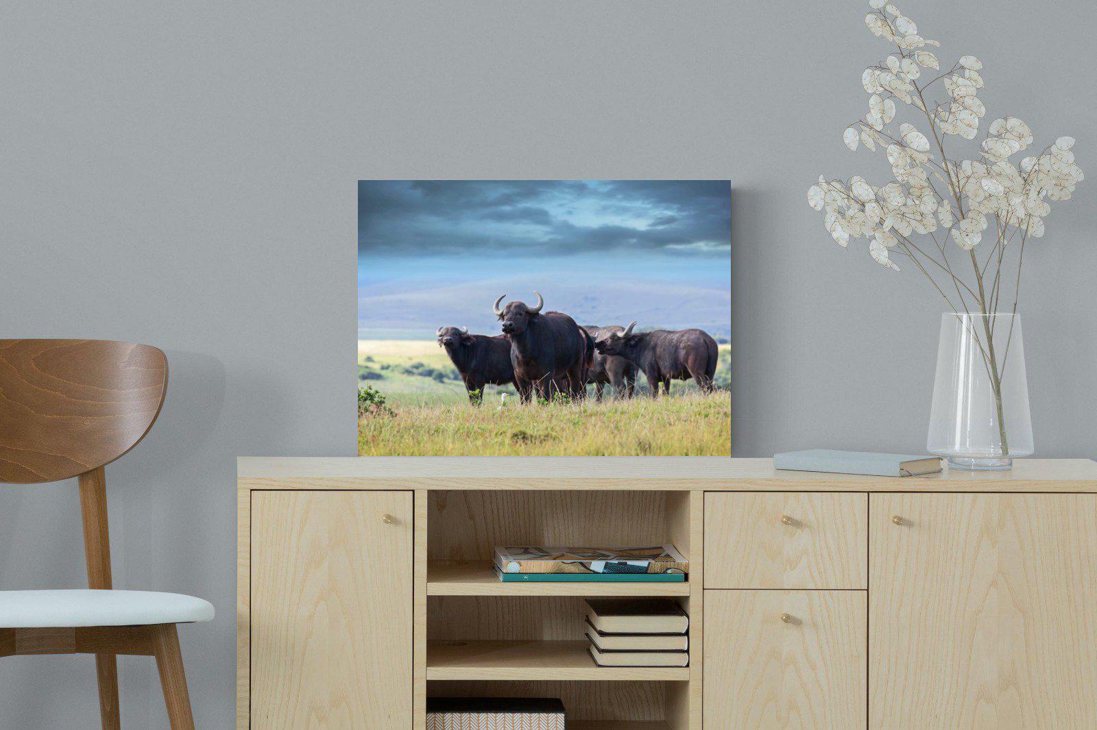 Buffalo-Wall_Art-60 x 45cm-Mounted Canvas-No Frame-Pixalot