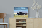 Buffalo-Wall_Art-60 x 45cm-Mounted Canvas-No Frame-Pixalot