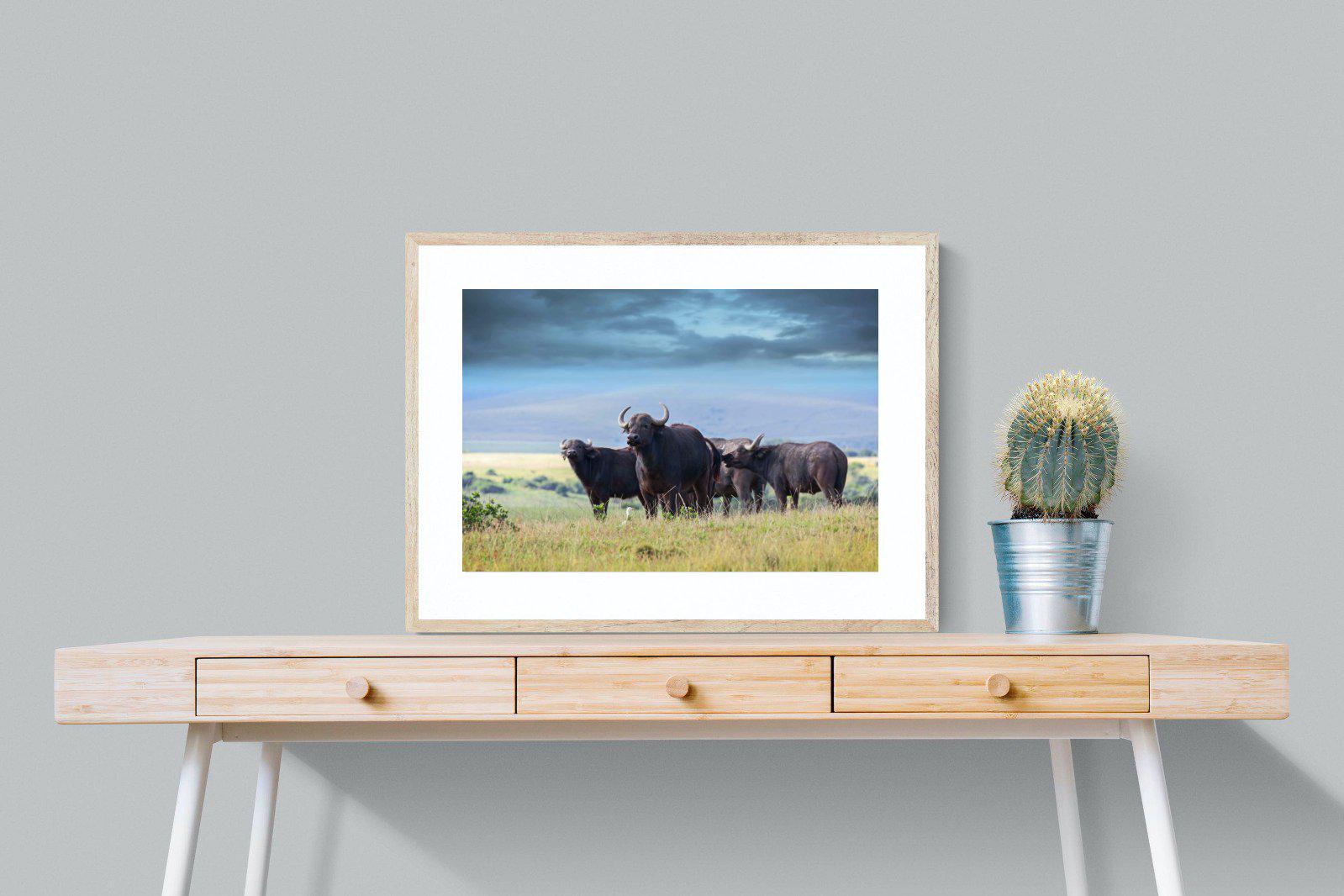 Buffalo-Wall_Art-80 x 60cm-Framed Print-Wood-Pixalot