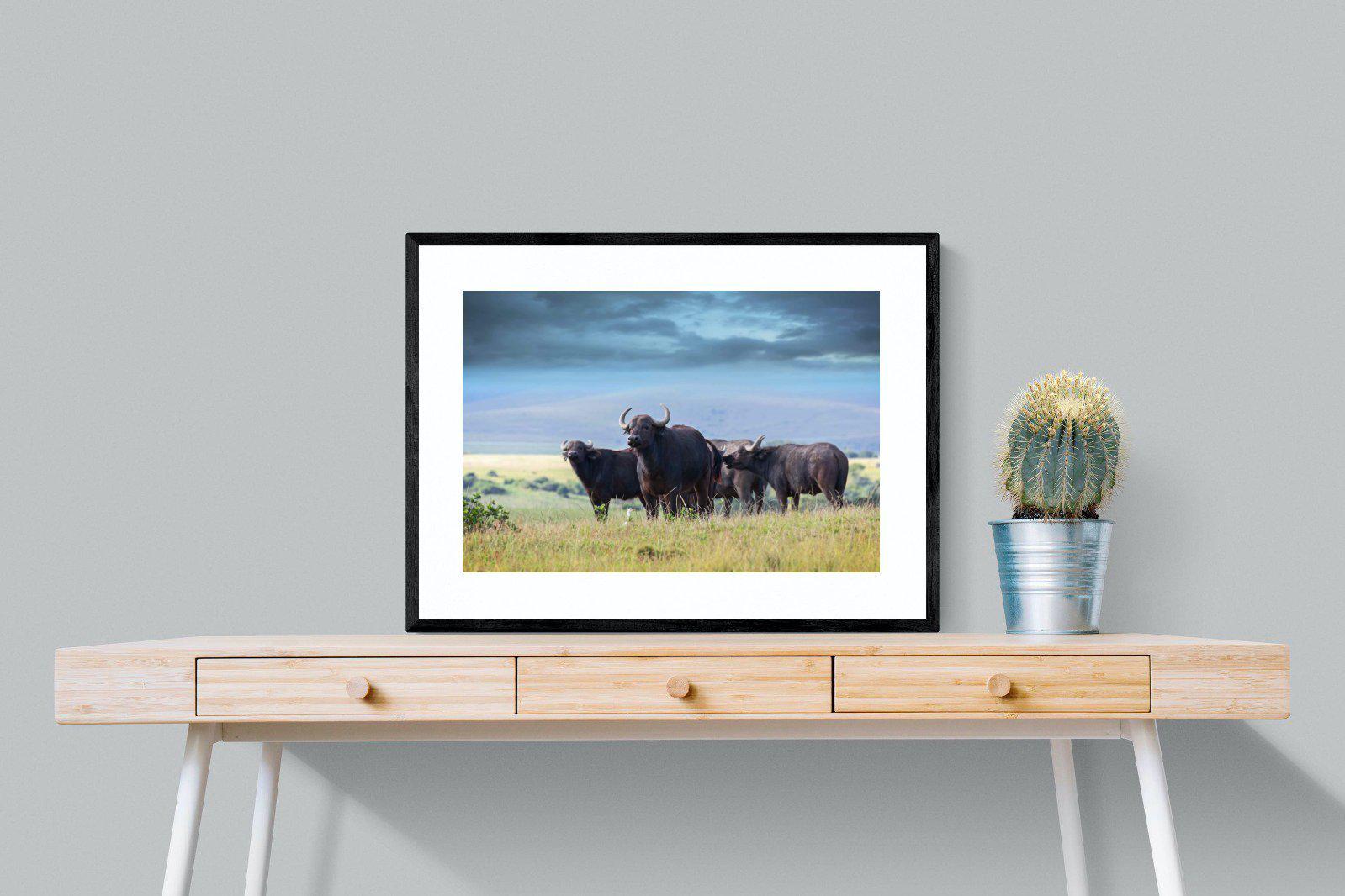 Buffalo-Wall_Art-80 x 60cm-Framed Print-Black-Pixalot