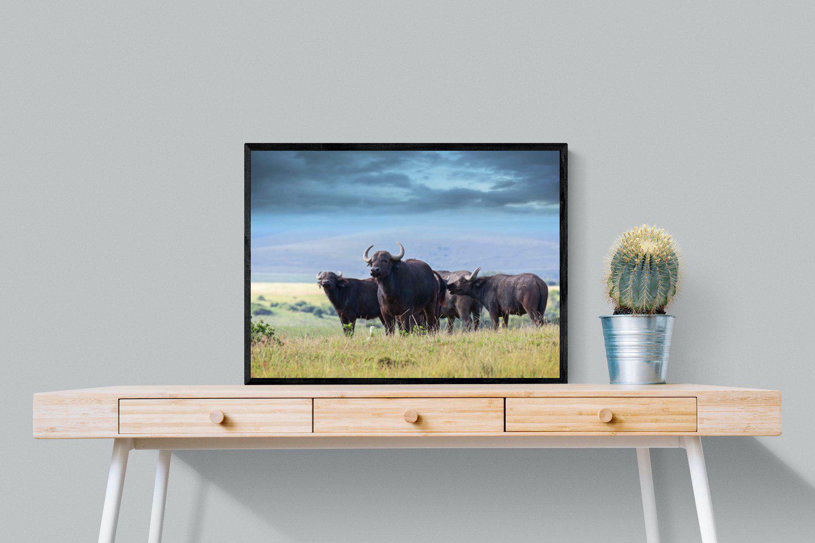 Buffalo-Wall_Art-80 x 60cm-Mounted Canvas-Black-Pixalot