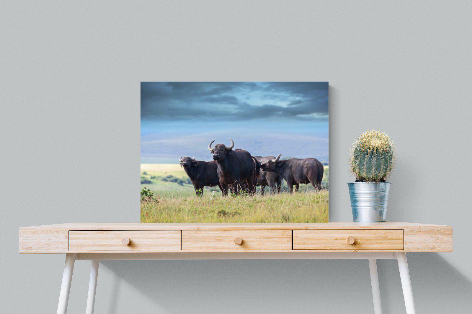Buffalo-Wall_Art-80 x 60cm-Mounted Canvas-No Frame-Pixalot