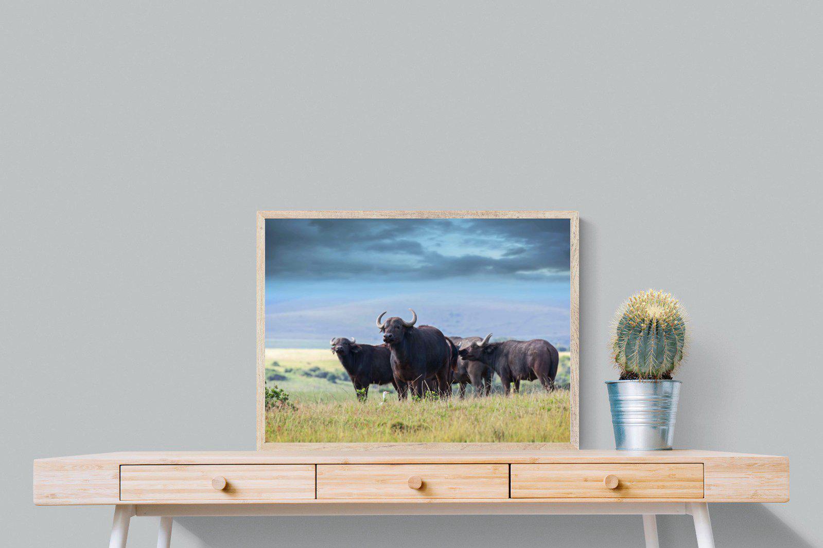 Buffalo-Wall_Art-80 x 60cm-Mounted Canvas-Wood-Pixalot