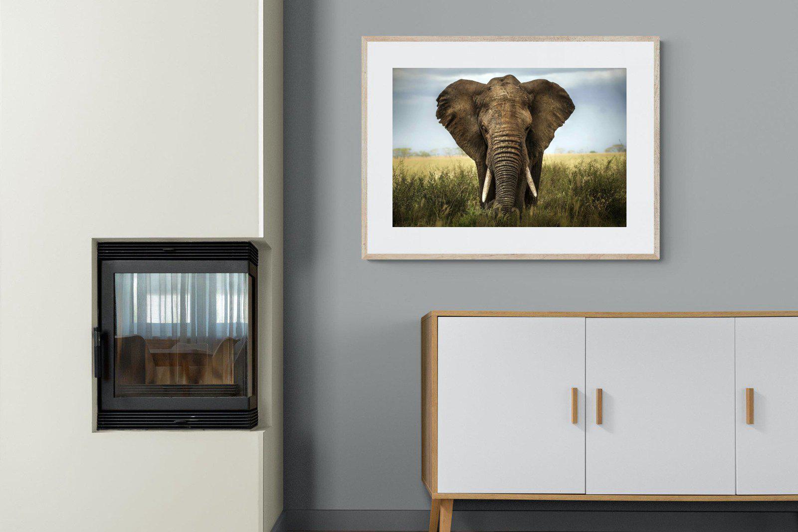 Bull Elephant-Wall_Art-100 x 75cm-Framed Print-Wood-Pixalot