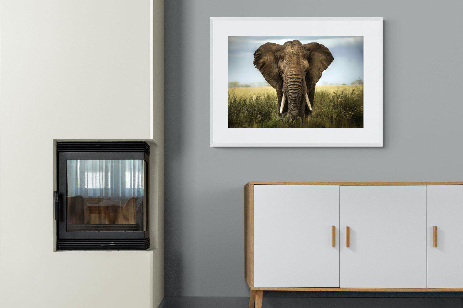 Bull Elephant-Wall_Art-100 x 75cm-Framed Print-White-Pixalot