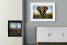 Bull Elephant-Wall_Art-100 x 75cm-Framed Print-White-Pixalot