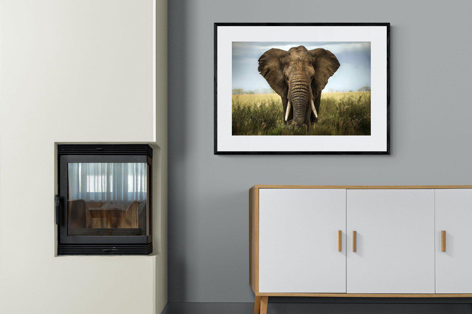 Bull Elephant-Wall_Art-100 x 75cm-Framed Print-Black-Pixalot
