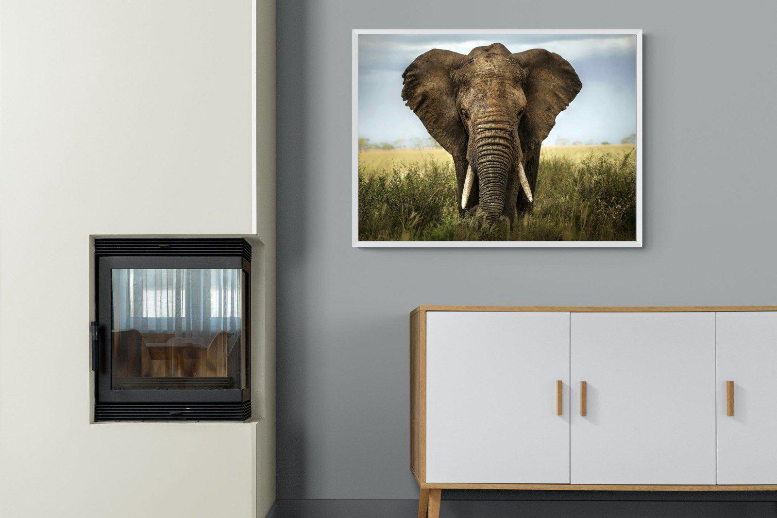 Bull Elephant-Wall_Art-100 x 75cm-Mounted Canvas-White-Pixalot