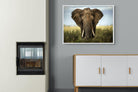 Bull Elephant-Wall_Art-100 x 75cm-Mounted Canvas-White-Pixalot