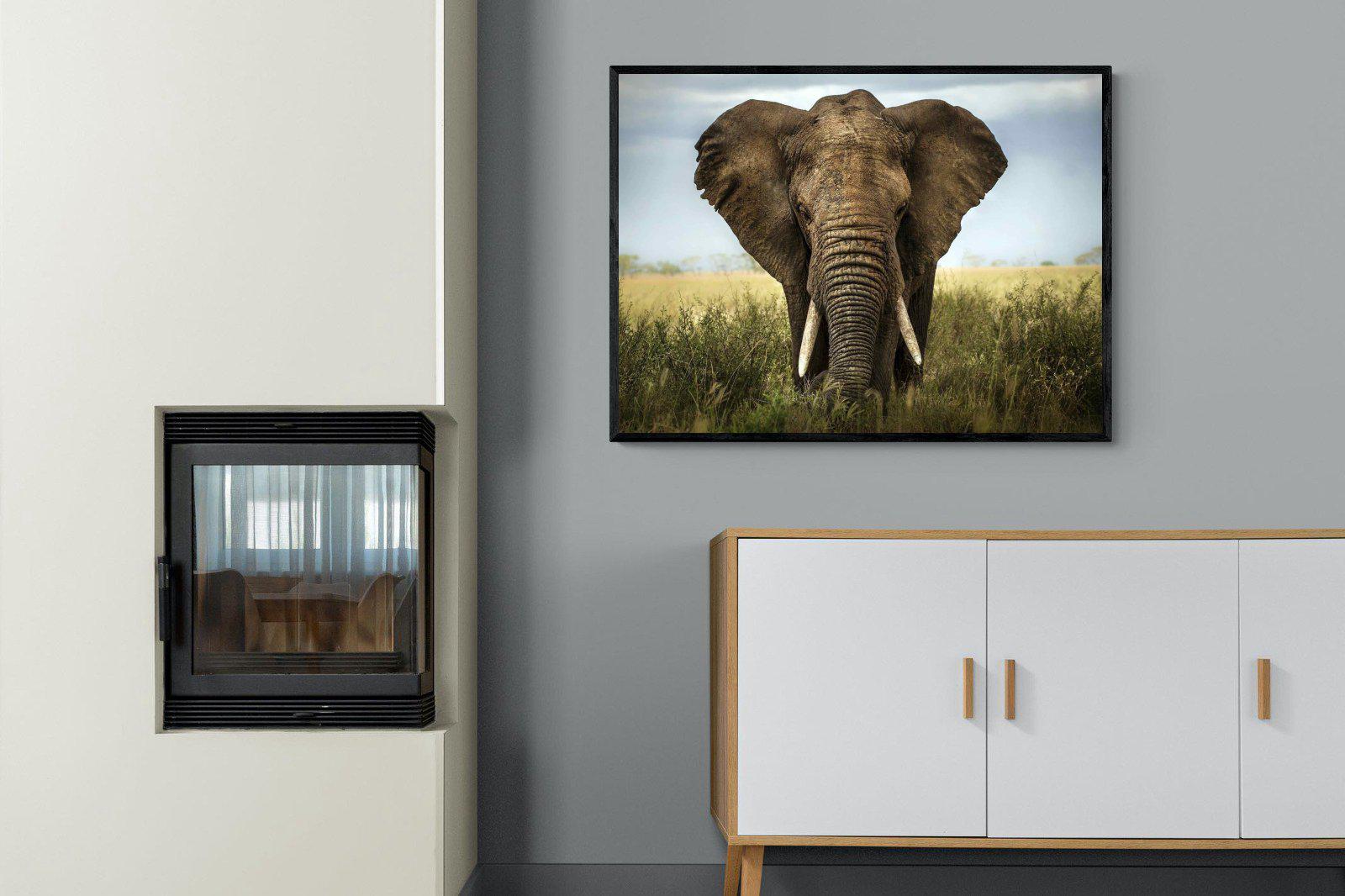 Bull Elephant-Wall_Art-100 x 75cm-Mounted Canvas-Black-Pixalot