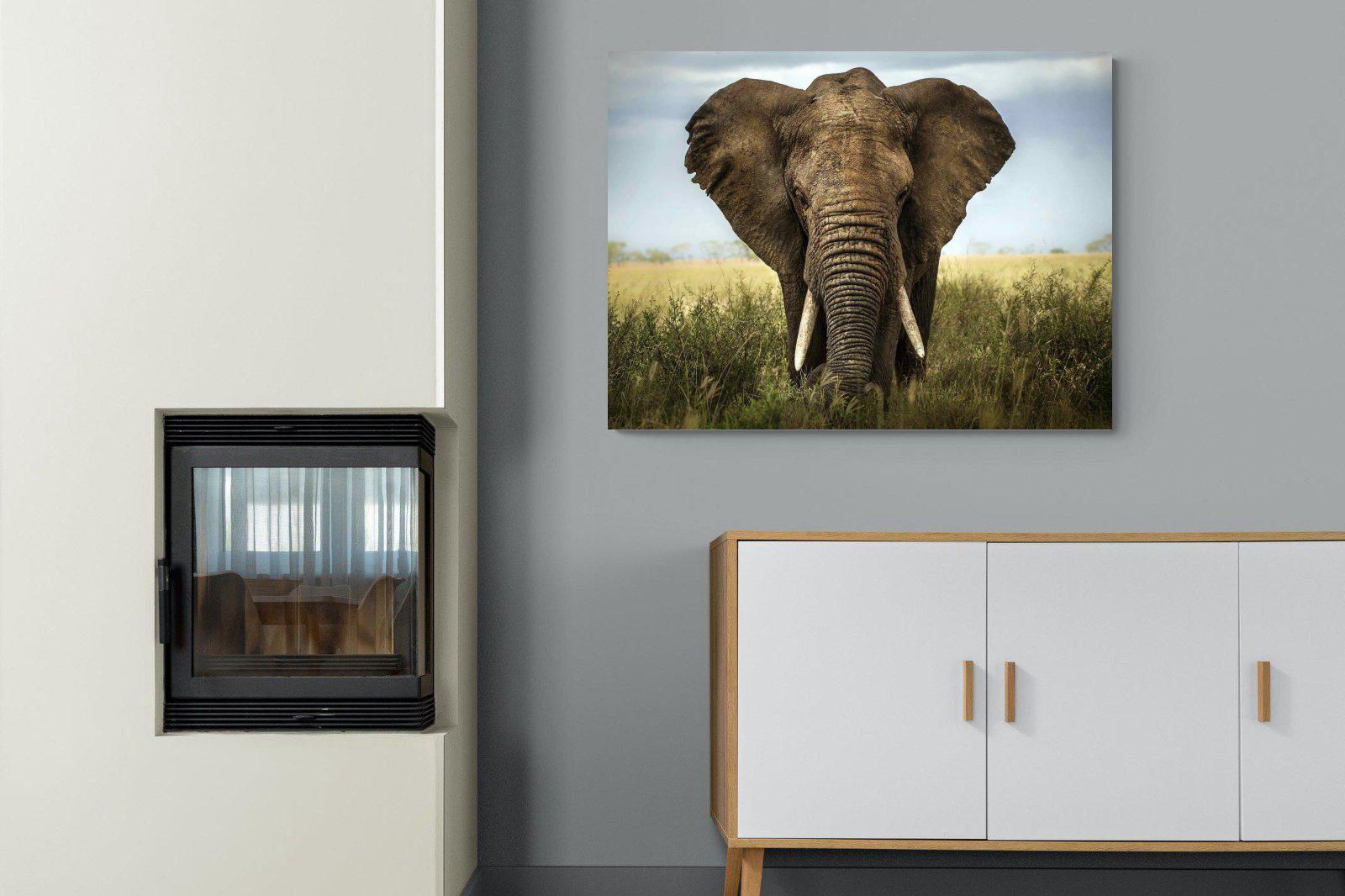 Bull Elephant-Wall_Art-100 x 75cm-Mounted Canvas-No Frame-Pixalot
