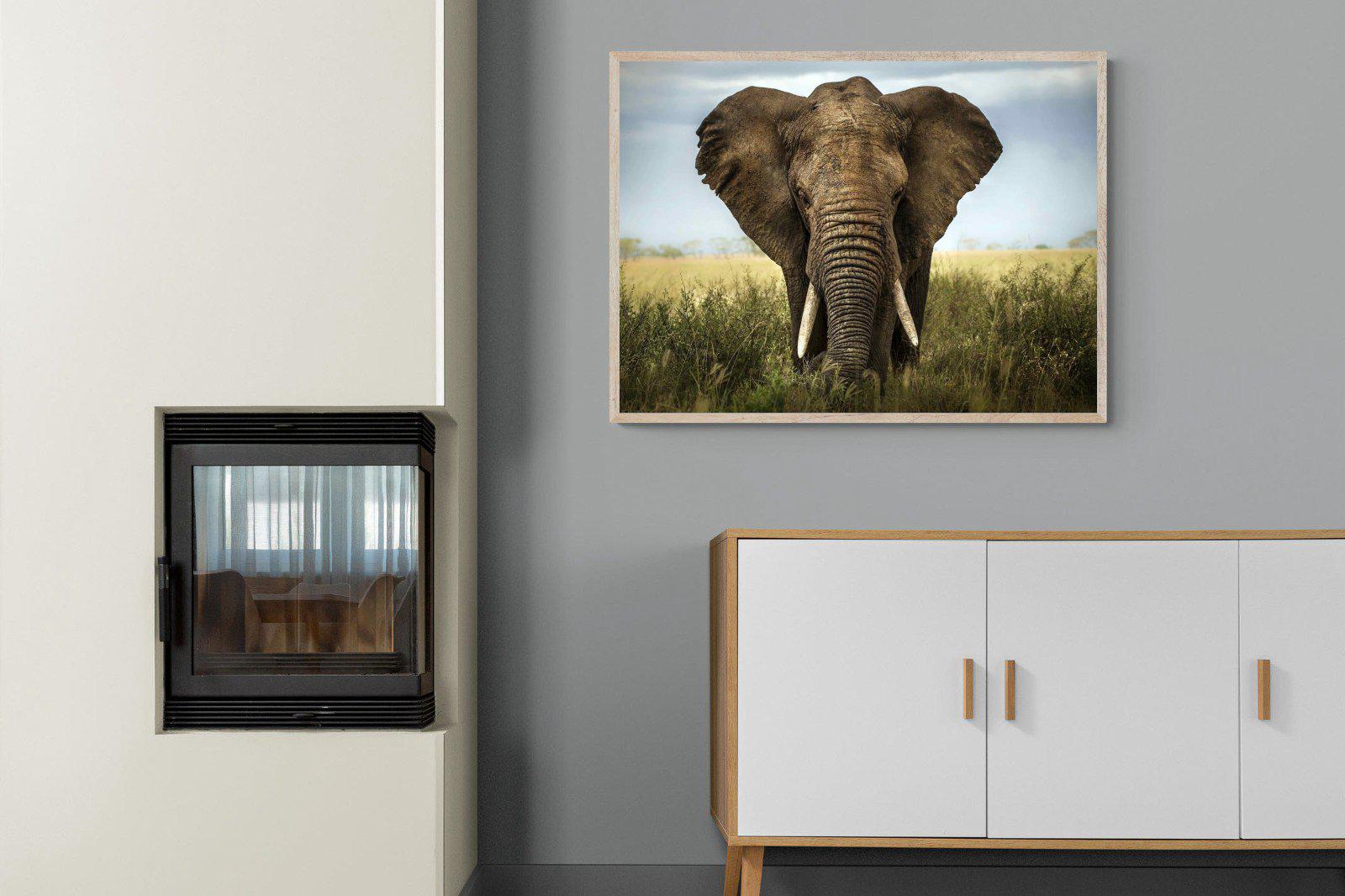 Bull Elephant-Wall_Art-100 x 75cm-Mounted Canvas-Wood-Pixalot
