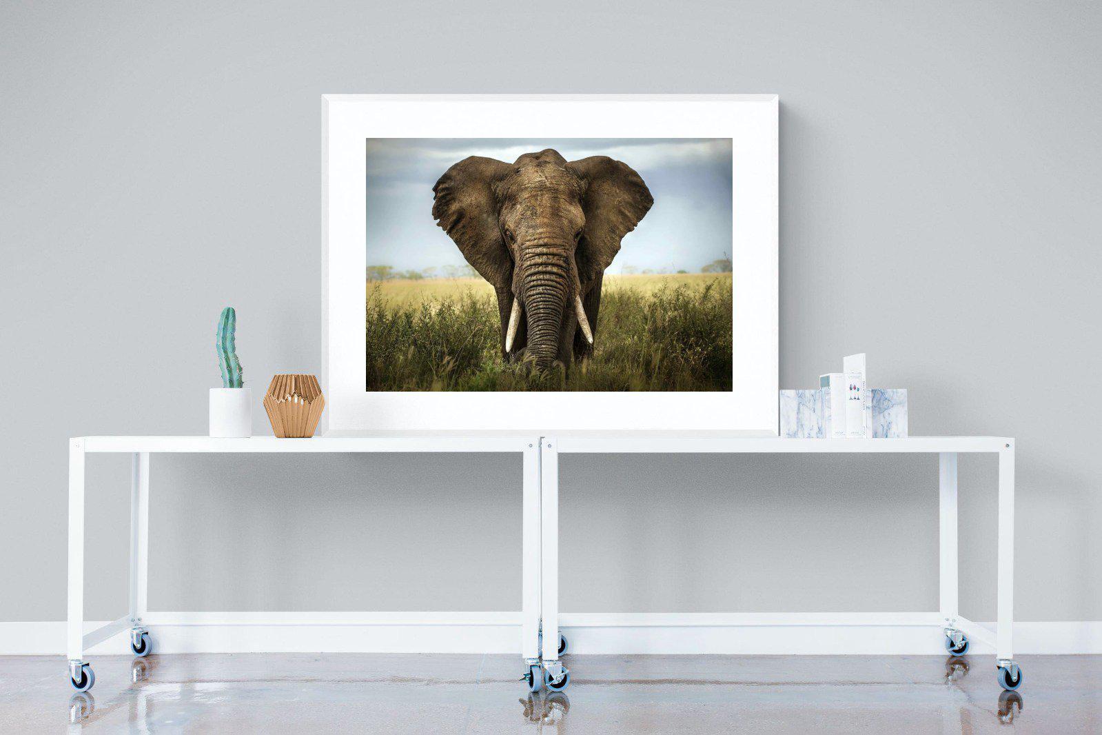 Bull Elephant-Wall_Art-120 x 90cm-Framed Print-White-Pixalot