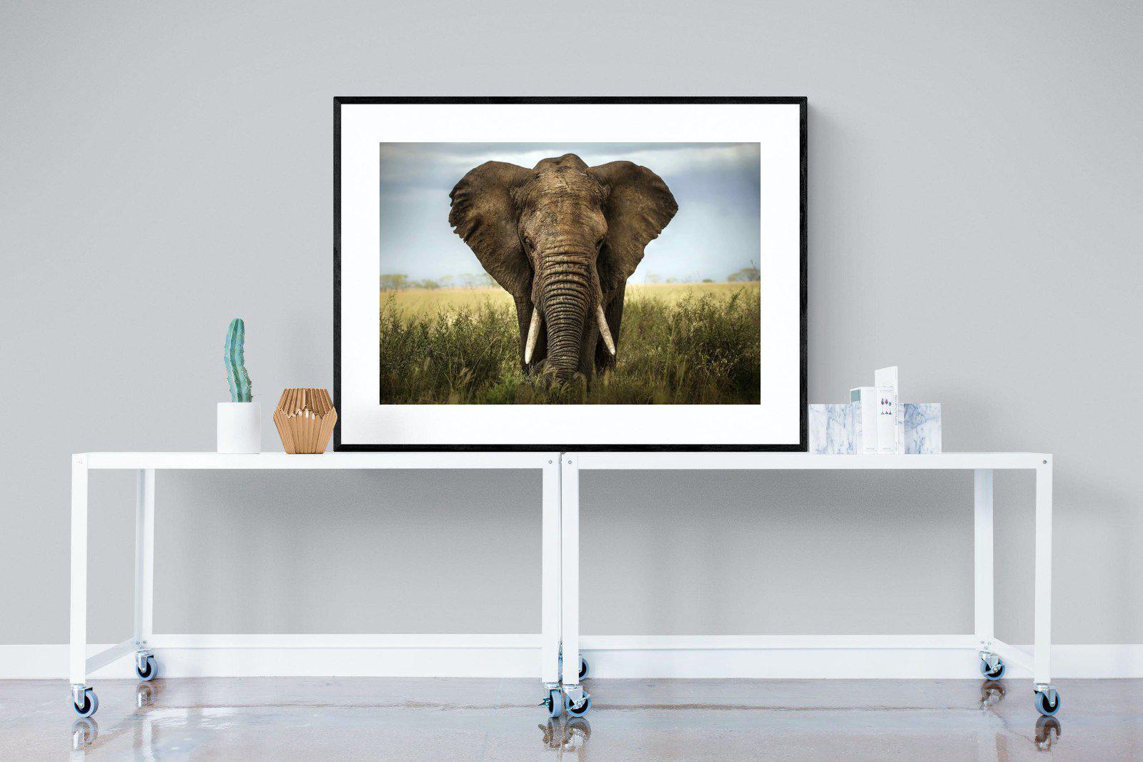 Bull Elephant-Wall_Art-120 x 90cm-Framed Print-Black-Pixalot