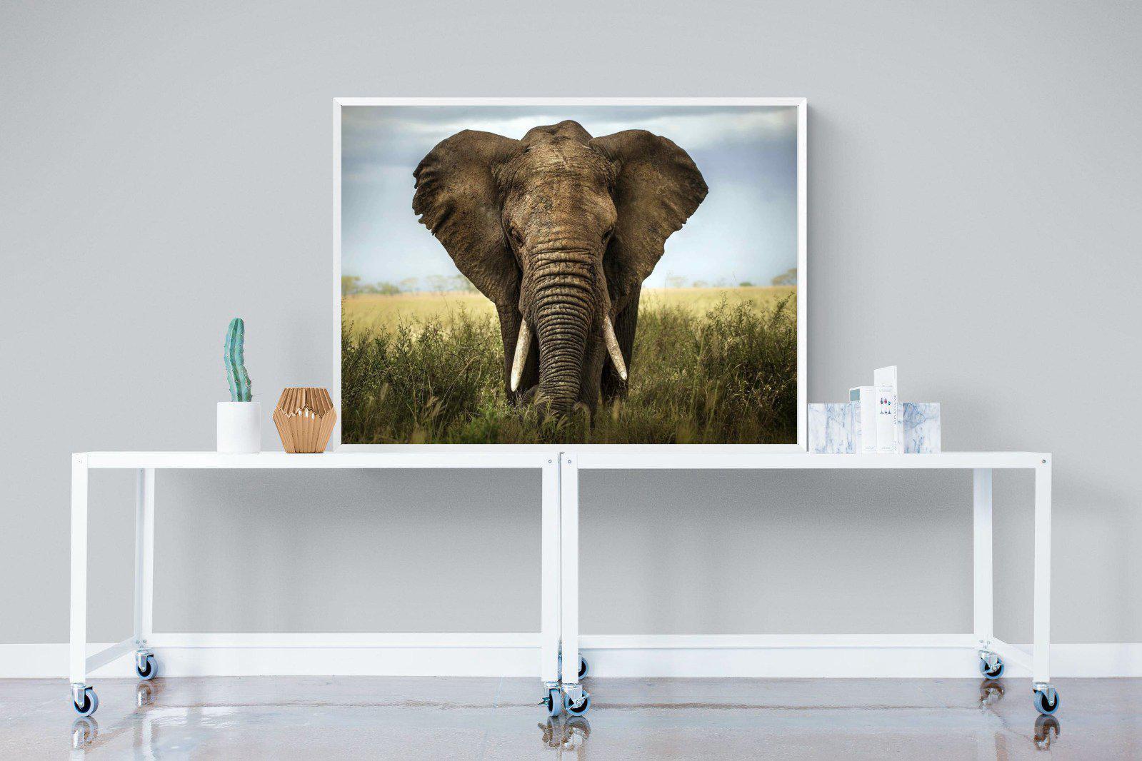 Bull Elephant-Wall_Art-120 x 90cm-Mounted Canvas-White-Pixalot