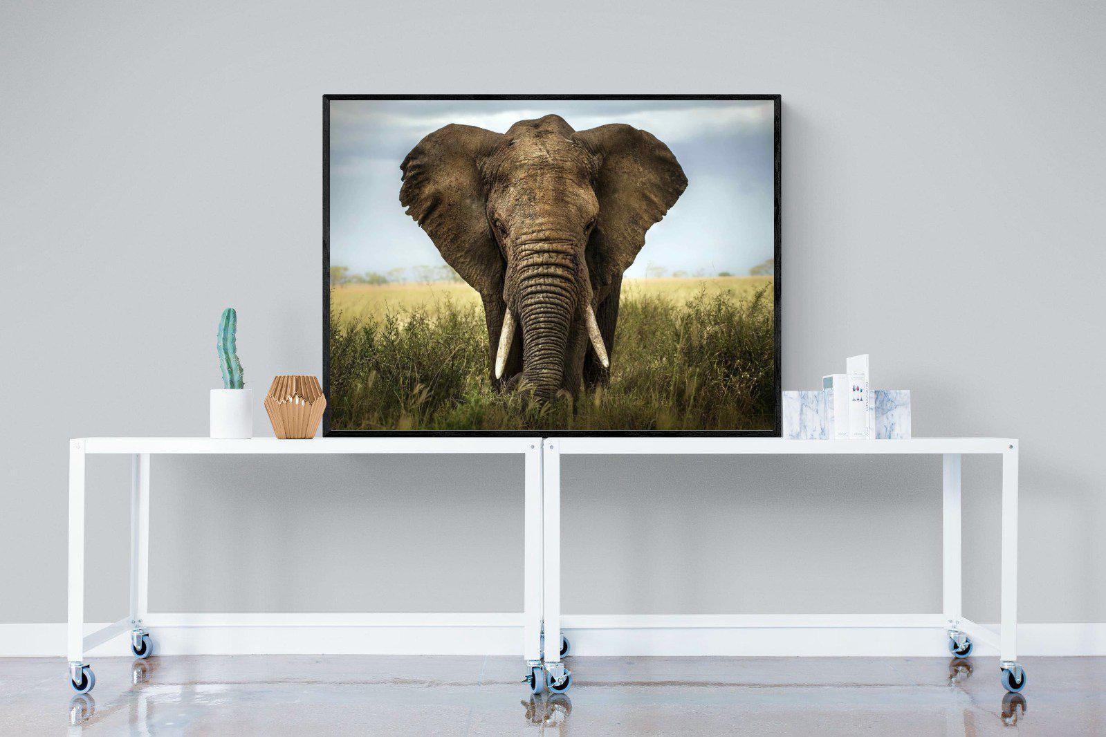 Bull Elephant-Wall_Art-120 x 90cm-Mounted Canvas-Black-Pixalot