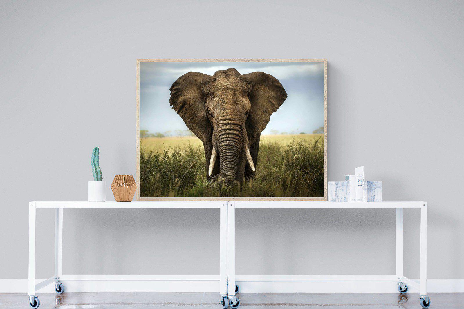Bull Elephant-Wall_Art-120 x 90cm-Mounted Canvas-Wood-Pixalot