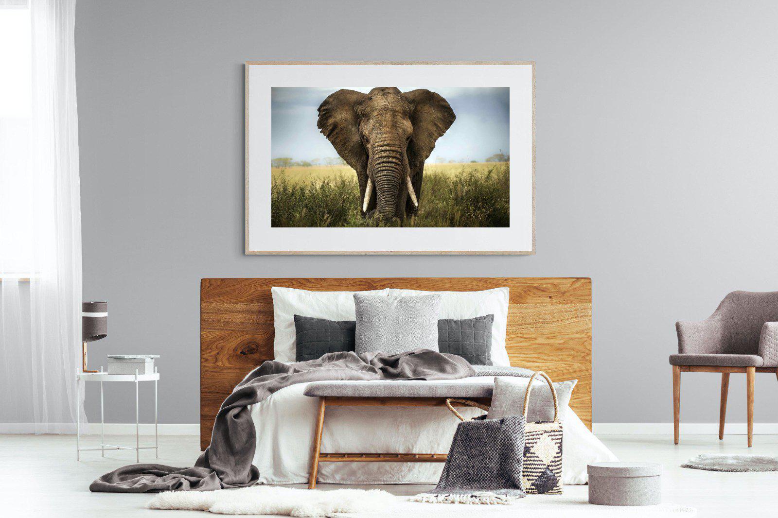 Bull Elephant-Wall_Art-150 x 100cm-Framed Print-Wood-Pixalot