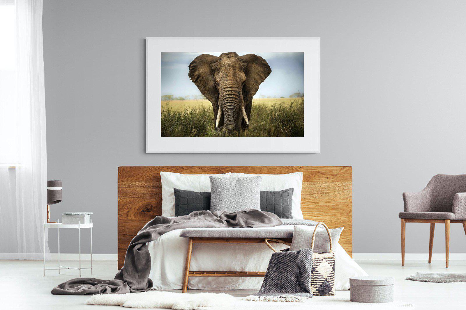 Bull Elephant-Wall_Art-150 x 100cm-Framed Print-White-Pixalot