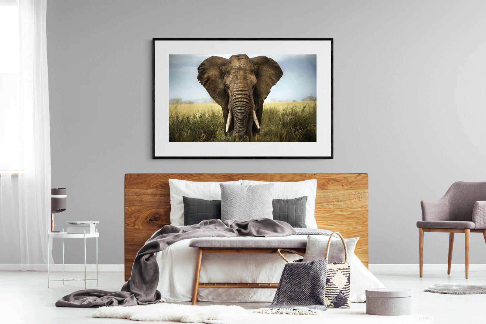 Bull Elephant-Wall_Art-150 x 100cm-Framed Print-Black-Pixalot