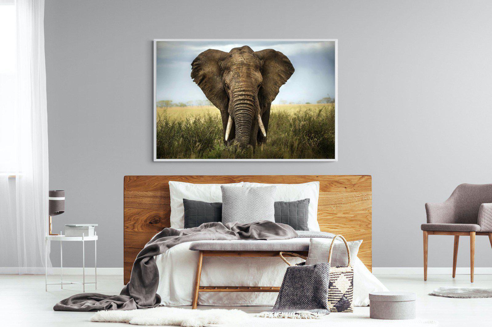 Bull Elephant-Wall_Art-150 x 100cm-Mounted Canvas-White-Pixalot