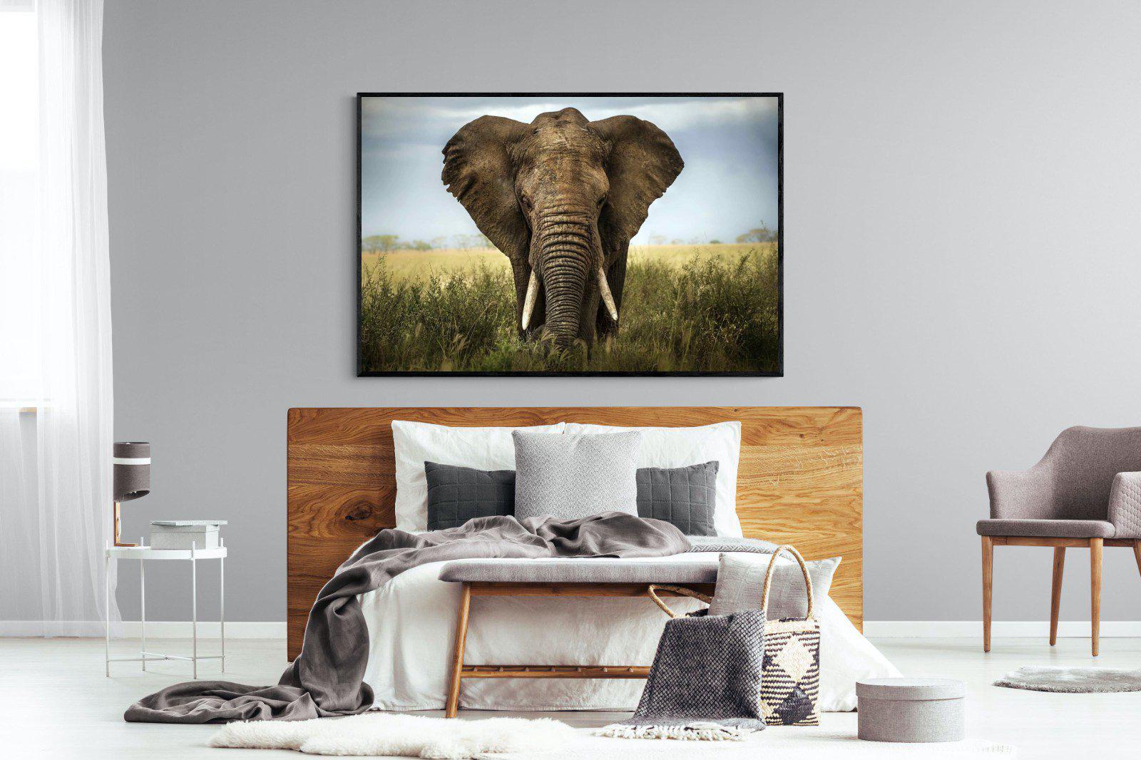 Bull Elephant-Wall_Art-150 x 100cm-Mounted Canvas-Black-Pixalot