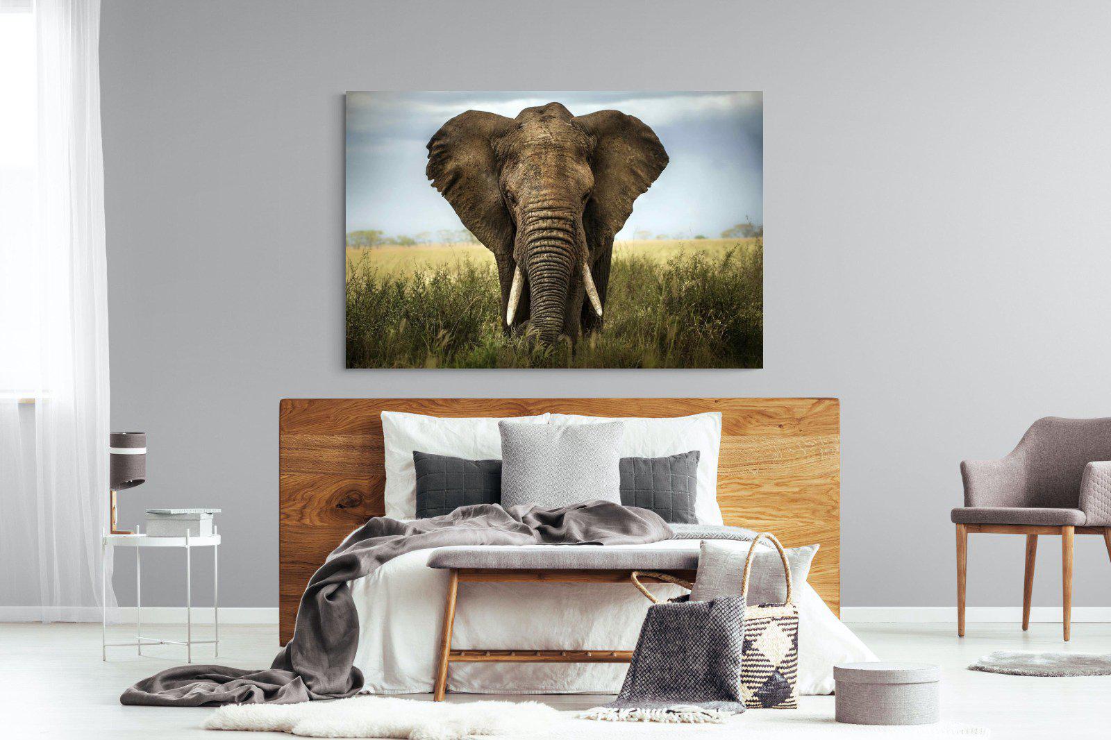 Bull Elephant-Wall_Art-150 x 100cm-Mounted Canvas-No Frame-Pixalot