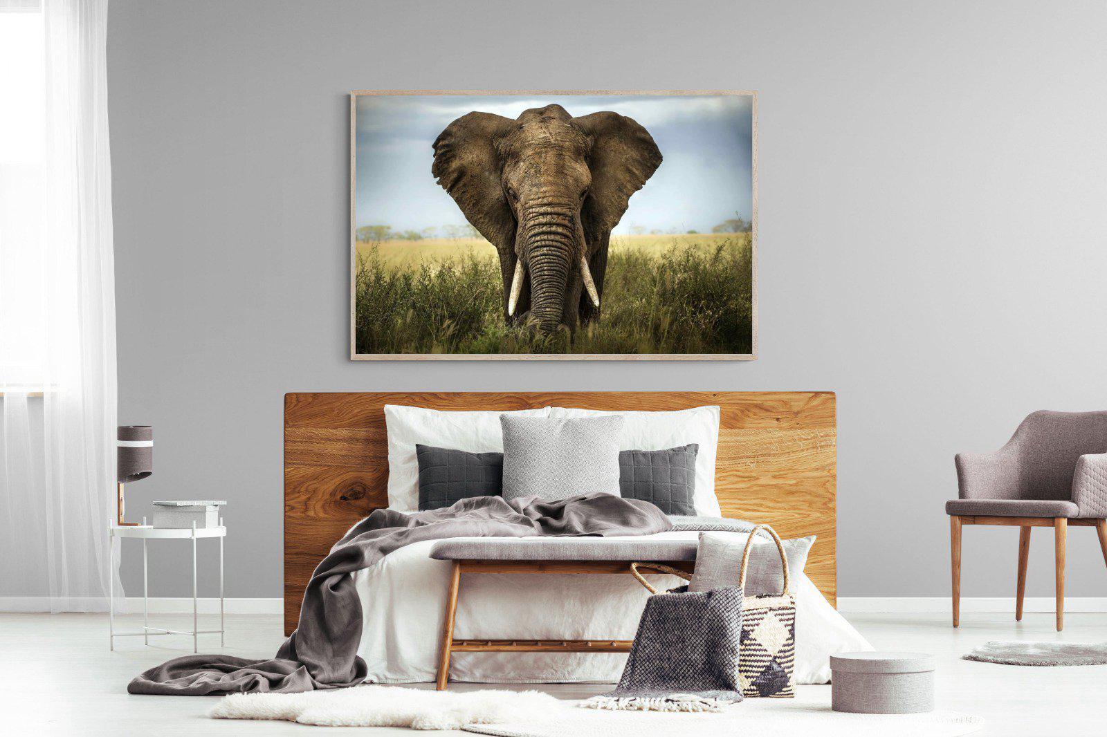 Bull Elephant-Wall_Art-150 x 100cm-Mounted Canvas-Wood-Pixalot
