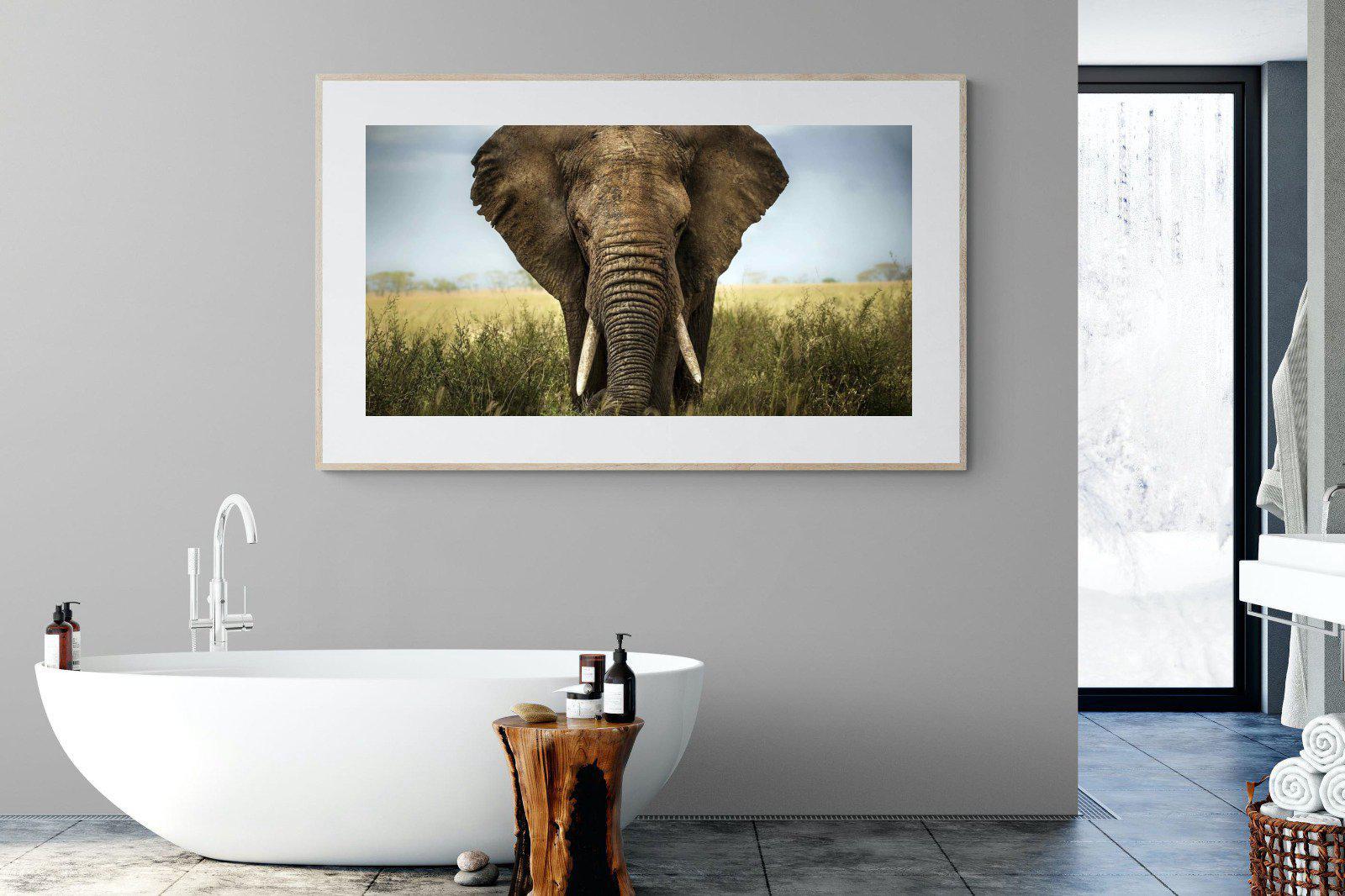 Bull Elephant-Wall_Art-180 x 110cm-Framed Print-Wood-Pixalot