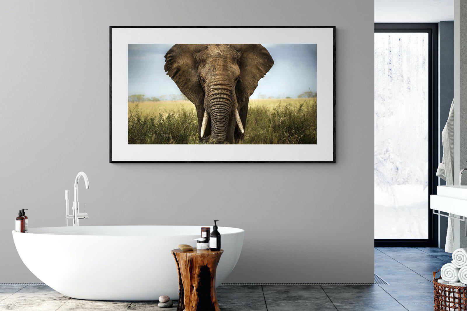 Bull Elephant-Wall_Art-180 x 110cm-Framed Print-Black-Pixalot