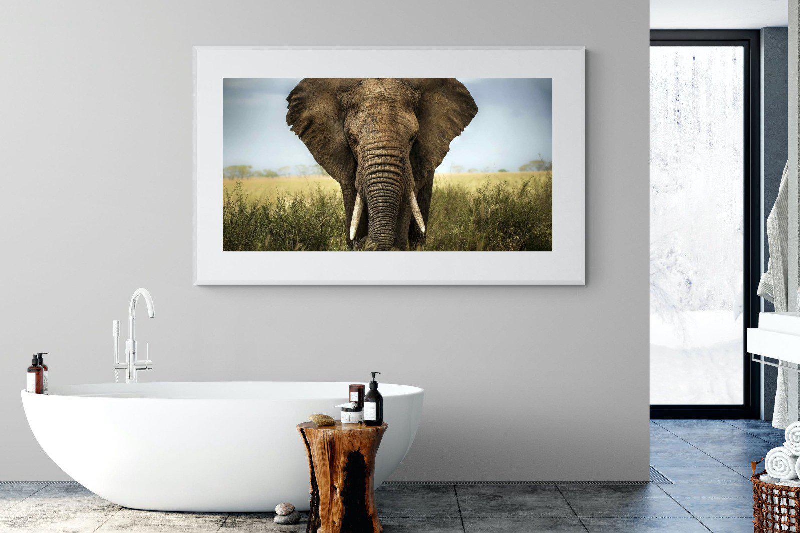 Bull Elephant-Wall_Art-180 x 110cm-Framed Print-White-Pixalot