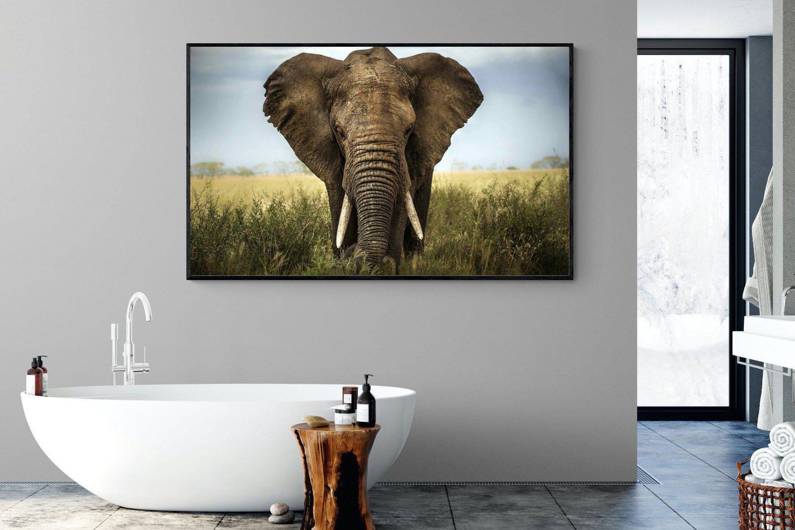 Bull Elephant-Wall_Art-180 x 110cm-Mounted Canvas-Black-Pixalot