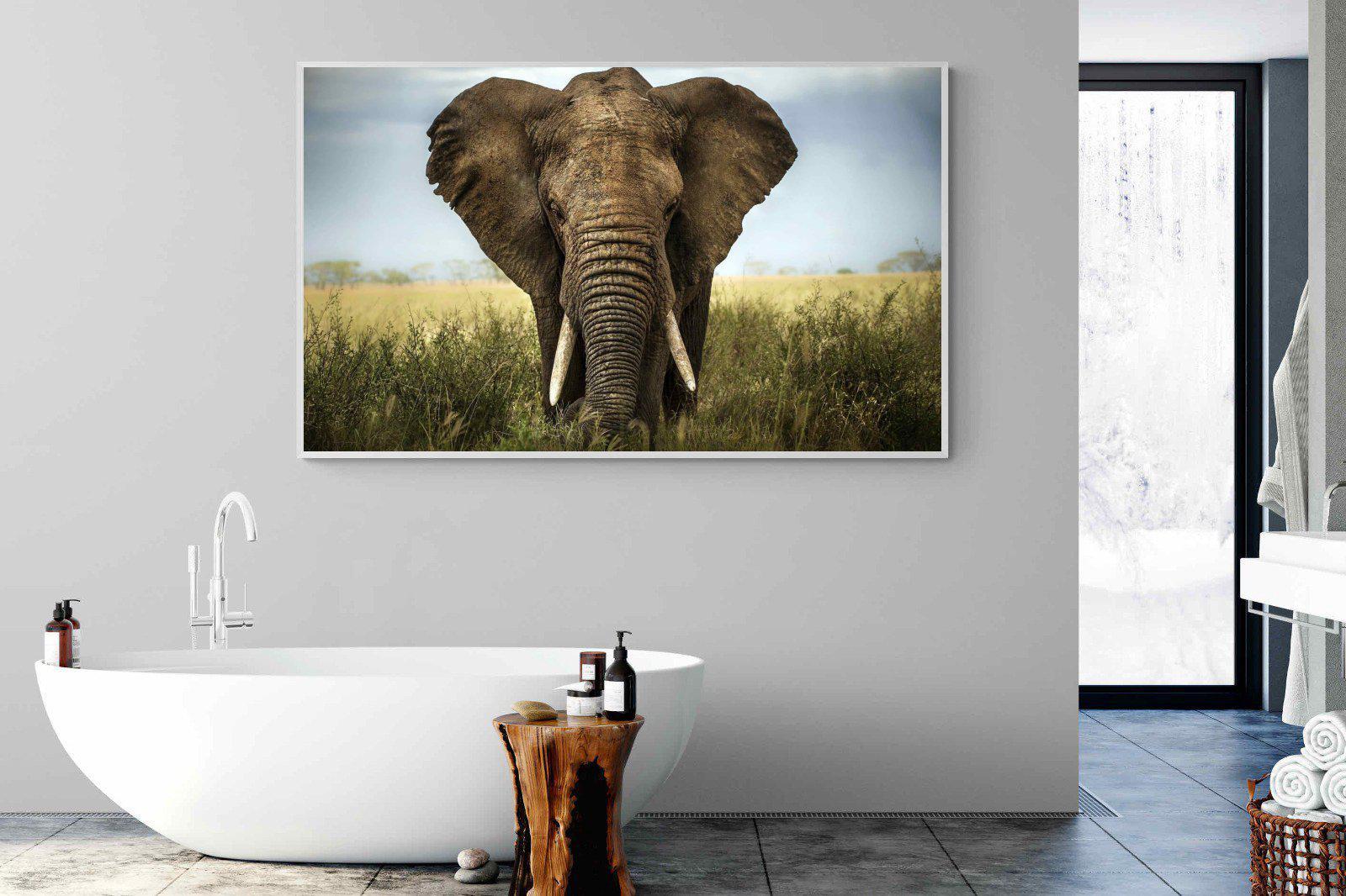 Bull Elephant-Wall_Art-180 x 110cm-Mounted Canvas-White-Pixalot