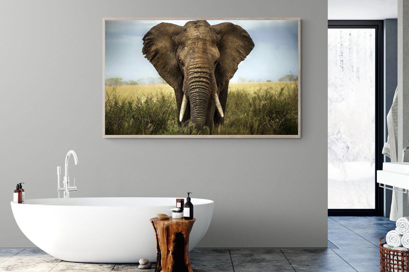 Bull Elephant-Wall_Art-180 x 110cm-Mounted Canvas-Wood-Pixalot