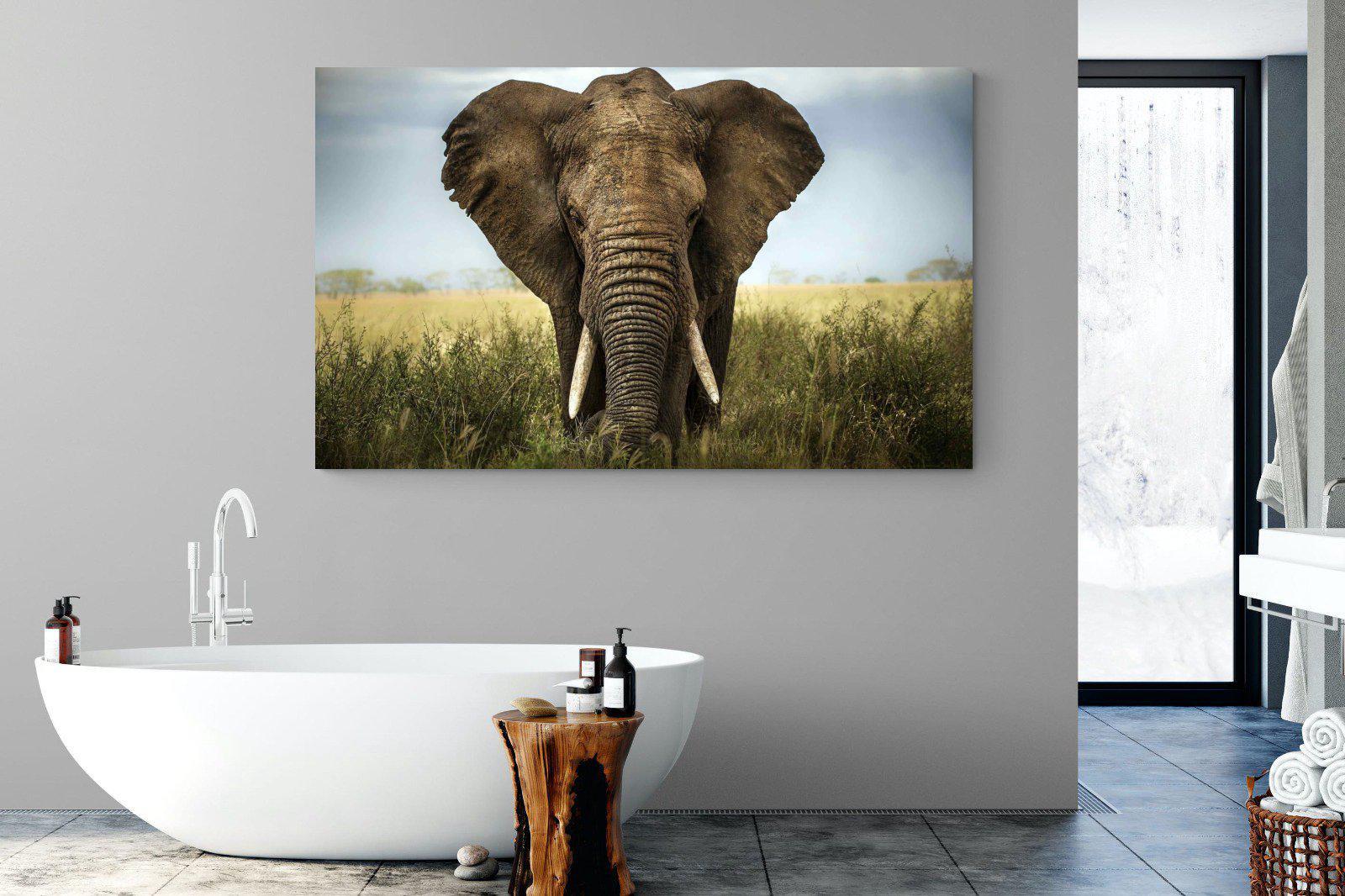 Bull Elephant-Wall_Art-180 x 110cm-Mounted Canvas-No Frame-Pixalot