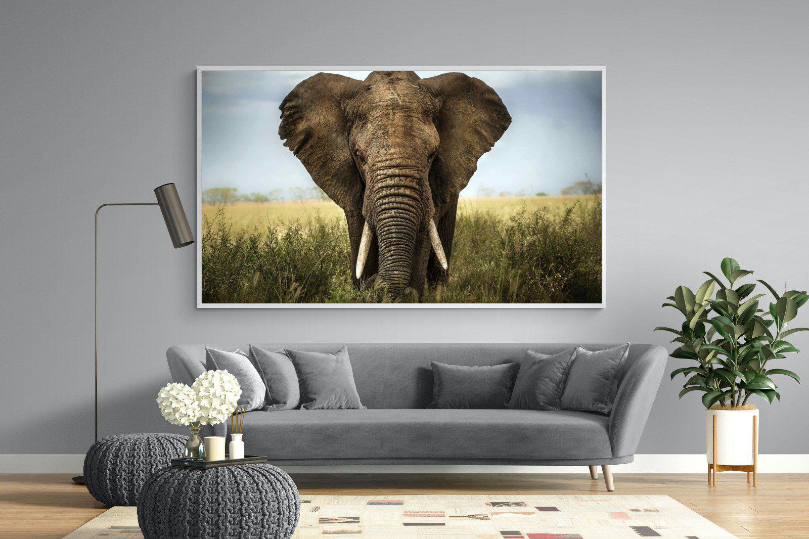Bull Elephant-Wall_Art-220 x 130cm-Mounted Canvas-White-Pixalot