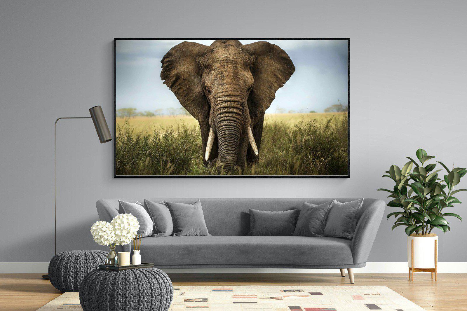 Bull Elephant-Wall_Art-220 x 130cm-Mounted Canvas-Black-Pixalot