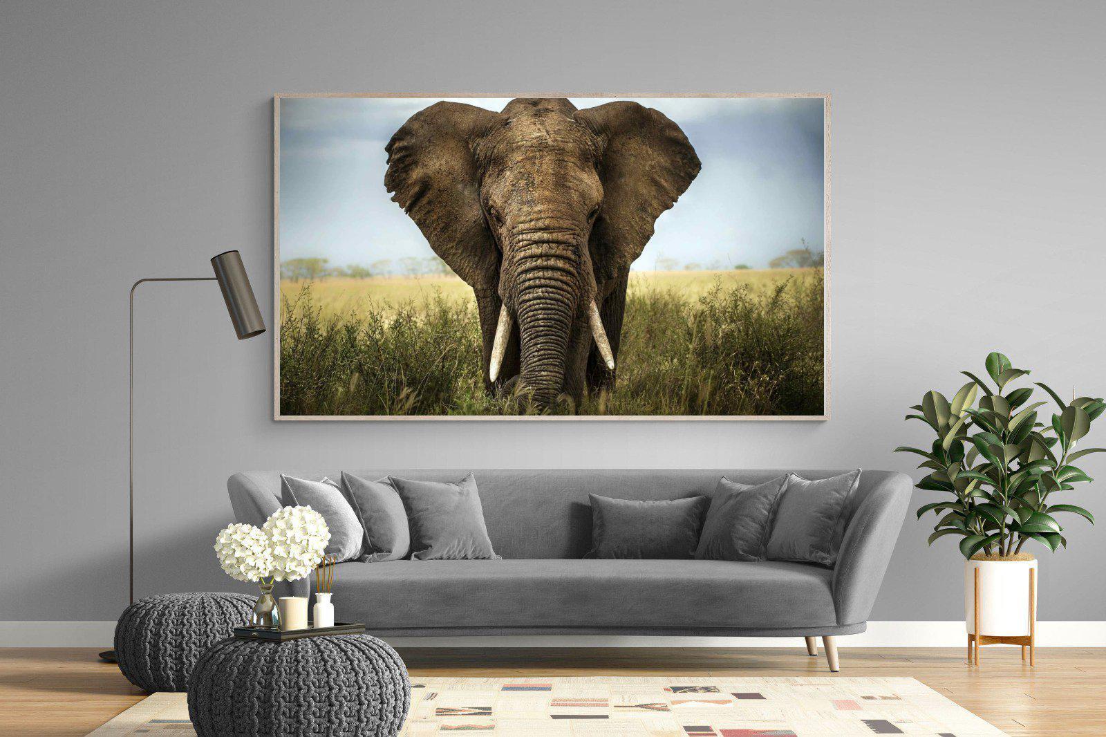 Bull Elephant-Wall_Art-220 x 130cm-Mounted Canvas-Wood-Pixalot