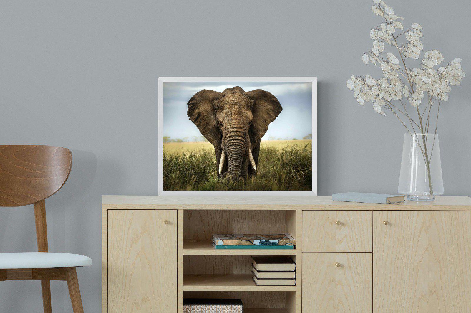 Bull Elephant-Wall_Art-60 x 45cm-Mounted Canvas-White-Pixalot