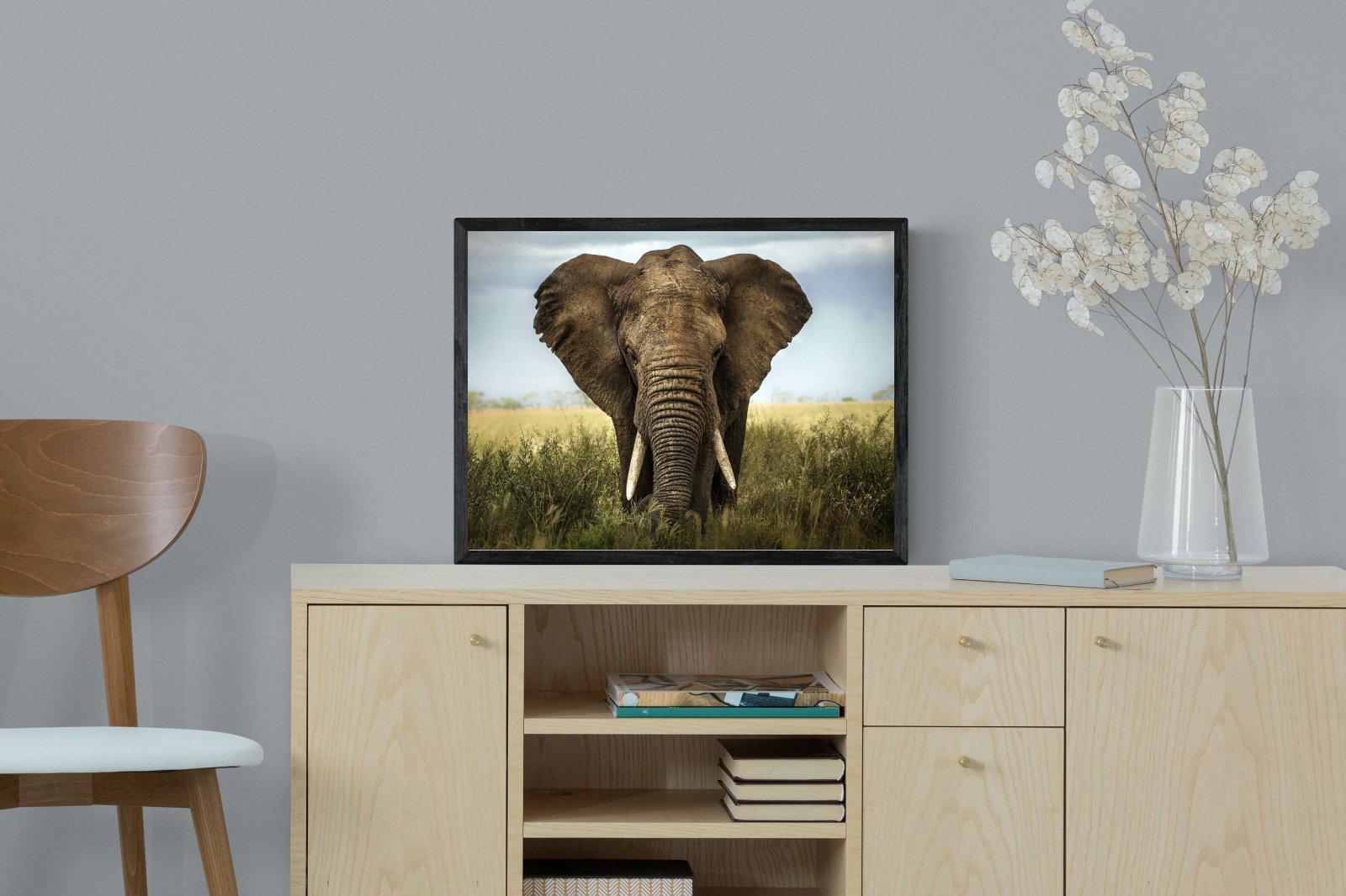 Bull Elephant-Wall_Art-60 x 45cm-Mounted Canvas-Black-Pixalot
