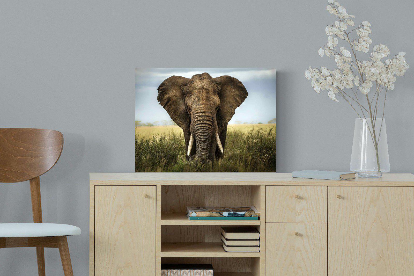Bull Elephant-Wall_Art-60 x 45cm-Mounted Canvas-No Frame-Pixalot