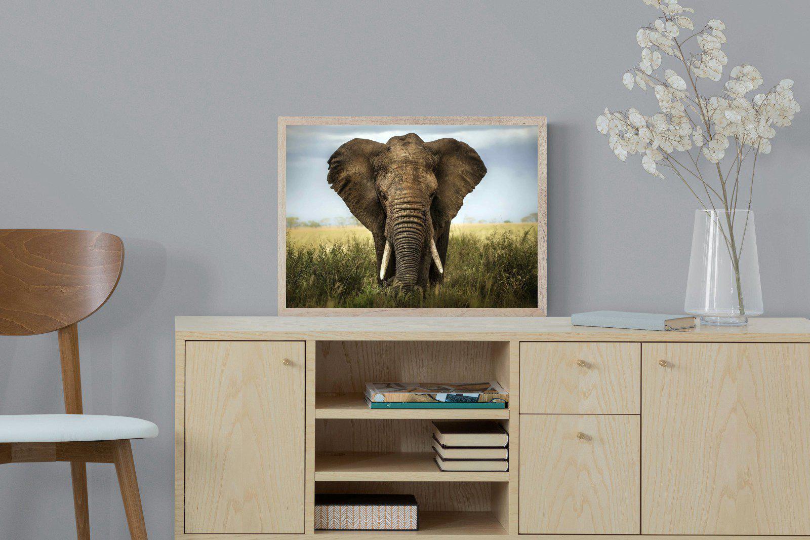 Bull Elephant-Wall_Art-60 x 45cm-Mounted Canvas-Wood-Pixalot
