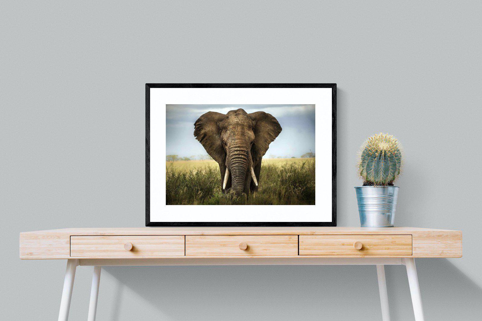 Bull Elephant-Wall_Art-80 x 60cm-Framed Print-Black-Pixalot