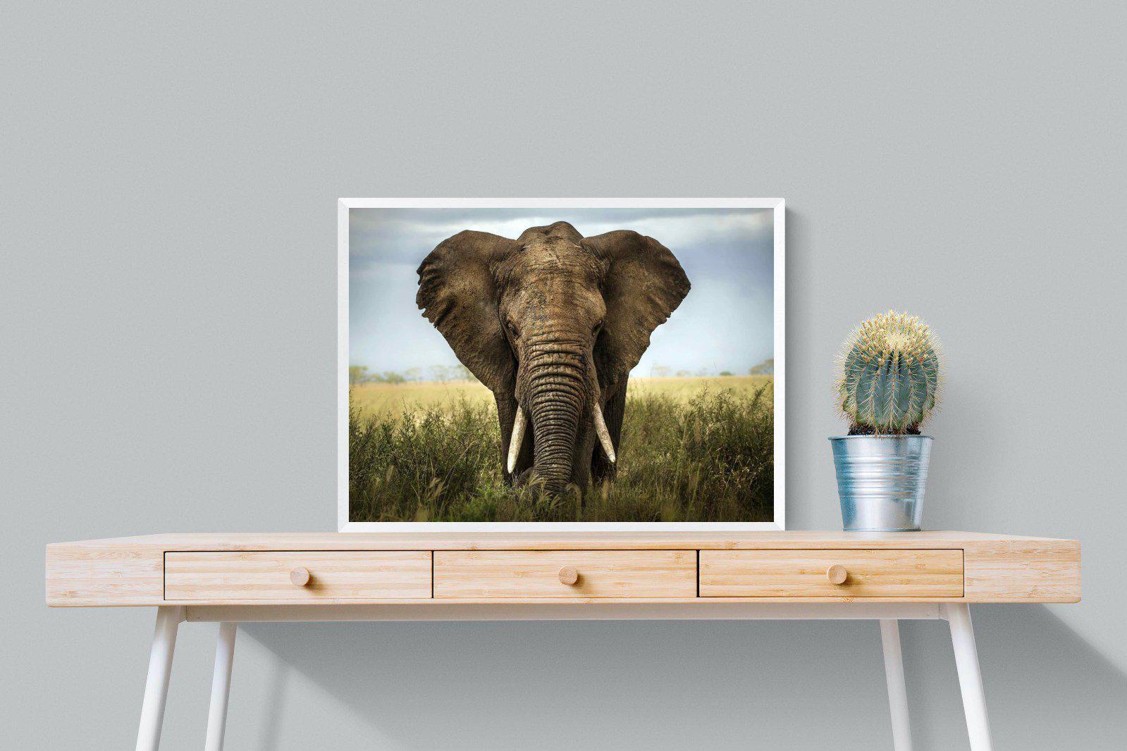 Bull Elephant-Wall_Art-80 x 60cm-Mounted Canvas-White-Pixalot