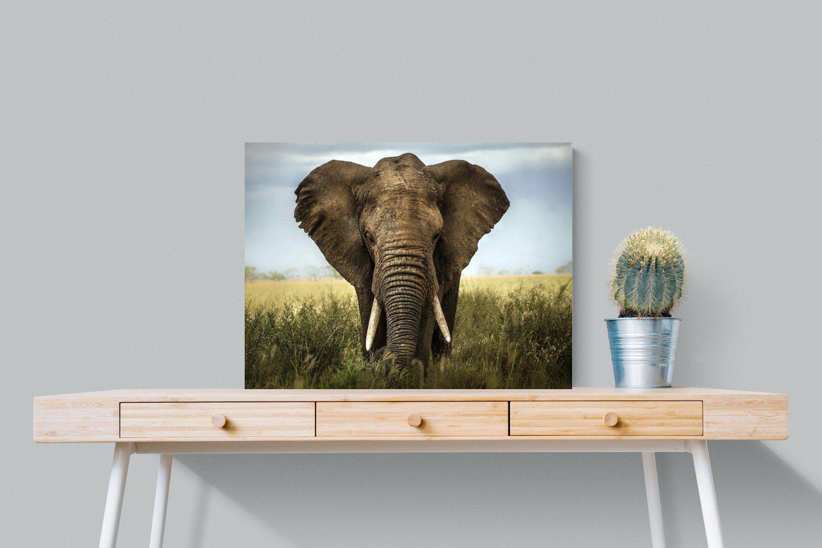 Bull Elephant-Wall_Art-80 x 60cm-Mounted Canvas-No Frame-Pixalot
